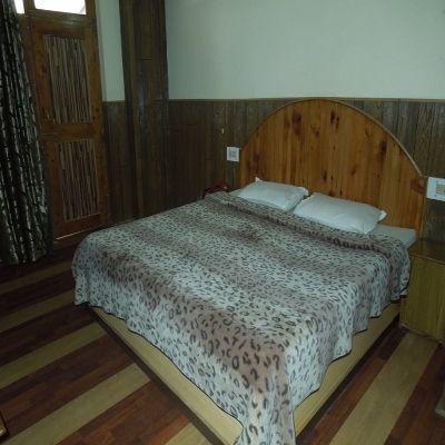 Hotel Tashila Манали Экстерьер фото